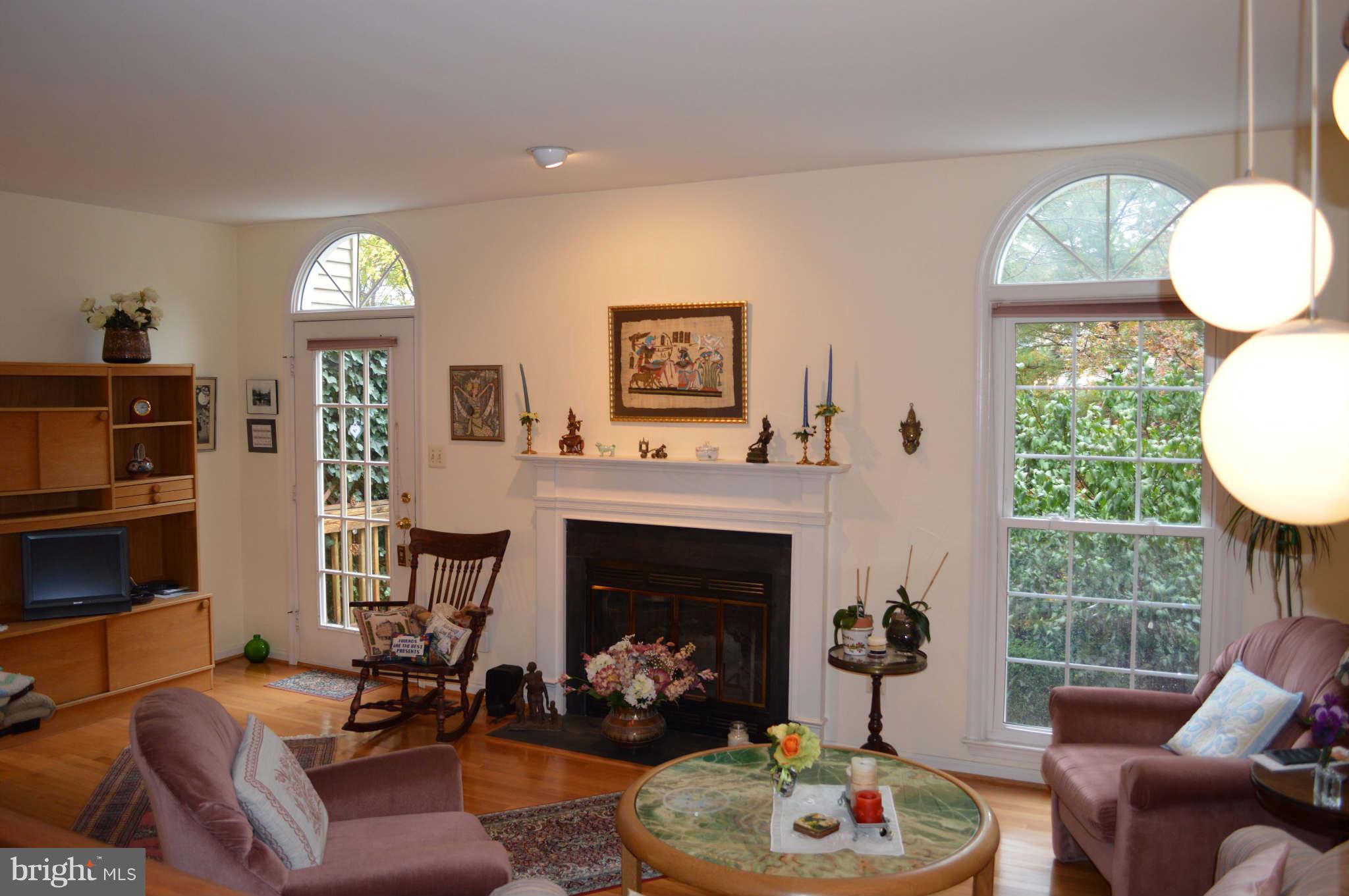 46926 Rabbitrun Terrace Sterling, VA 20164 - Photo 2 of 9 Family Room