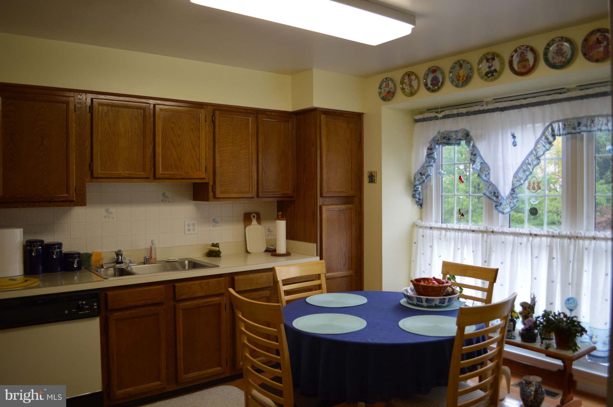 46926 Rabbitrun Terrace Sterling, VA 20164 - Photo 3 of 9 Kitchen