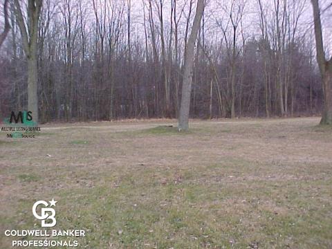 19409 29 Mile Road Ray, MI 48096 - Photo 8 of 9 31310120-7.JPG