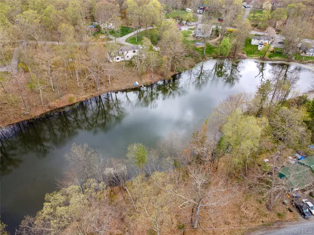 a view of a lake in middle of forest