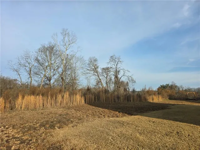 a view of a yard next to a building