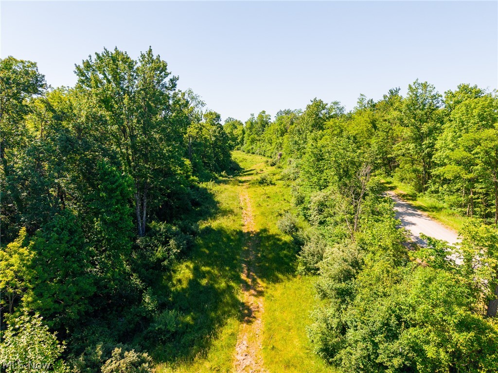 84143 Gilmore Ridge Road Cadiz, OH 43907 - Photo 14 of 32