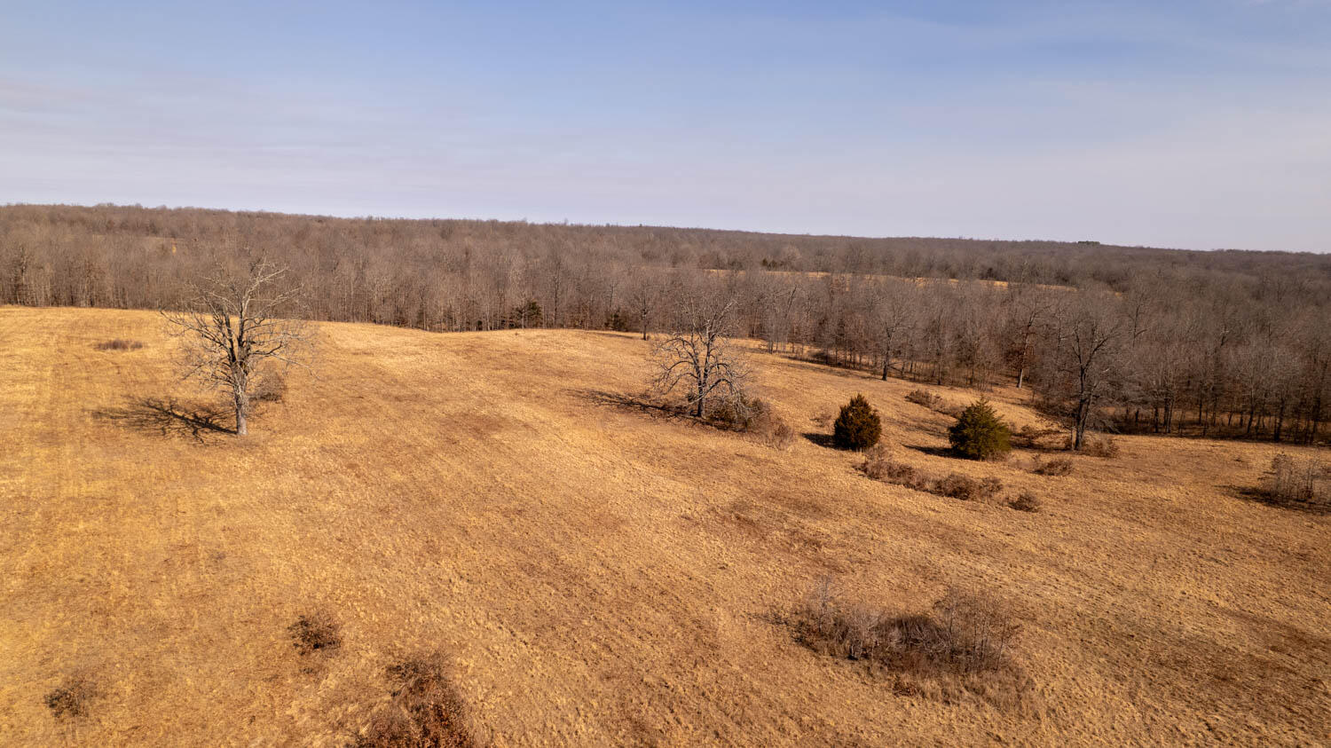 0 Pleasant Run Road Mammoth Spring, AR 72554 - Photo 18 of 35 329 acres 035
