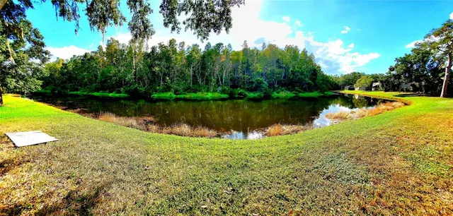 a view of a lake with a yard and large trees