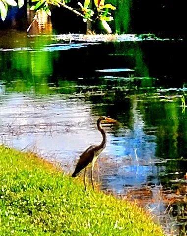 $684,900 | 382 Waterford Circle East, Tarpon Springs, FL 34688