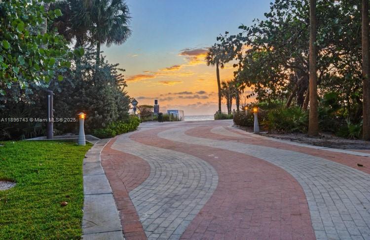 2899 Collins Avenue, Unit 1638 Miami Beach, FL 33140 - Photo 11 of 14 a view of a backyard with a garden
