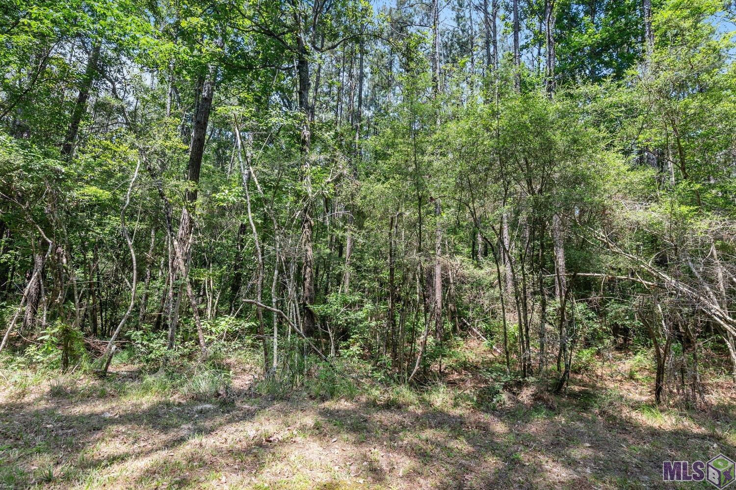 Lot 1 Pace Road Clinton, LA 70722 - Photo 4 of 6