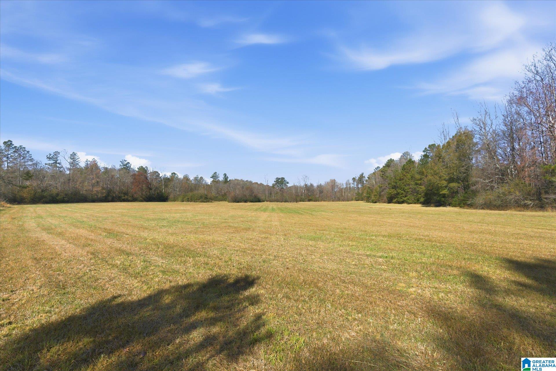 0 County Road 84 Heflin, AL 36264 - Photo 15 of 20