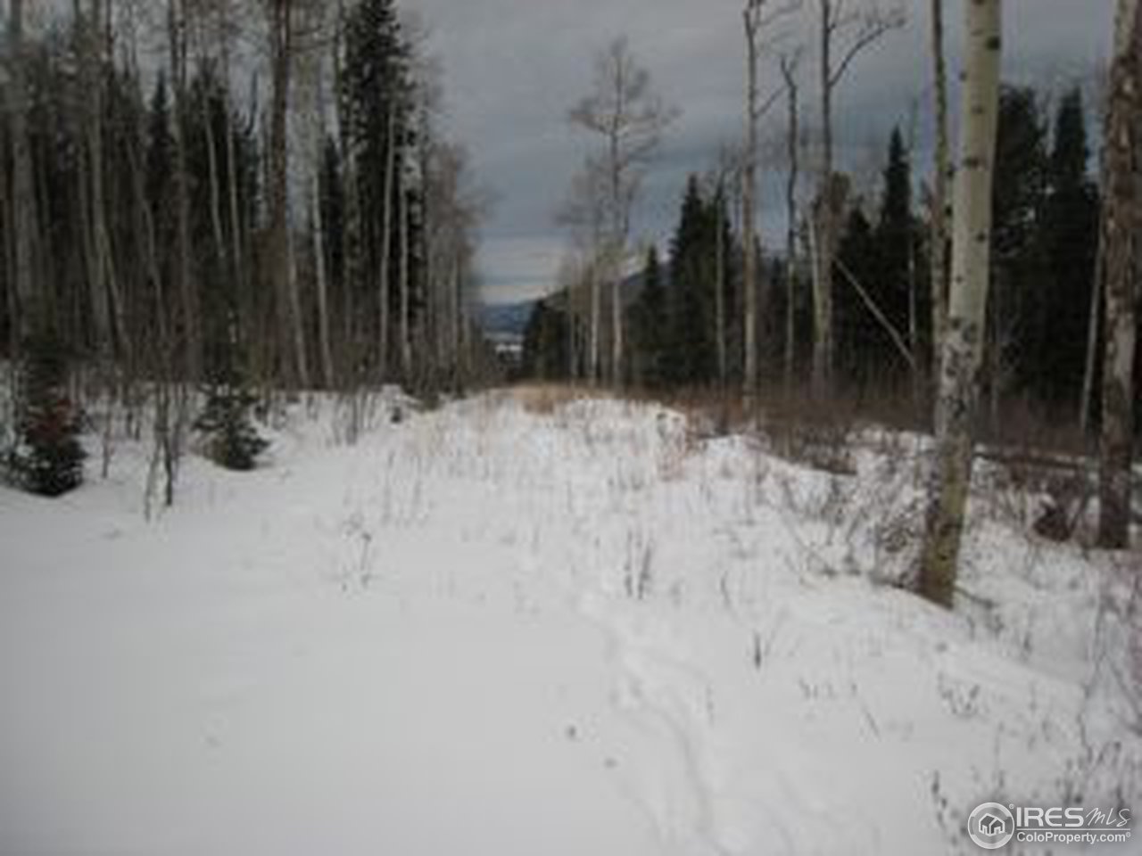 331 Spruce Ridge Road Silverthorne, CO 80498 - Photo 2 of 5 a view of outdoor space with trees
