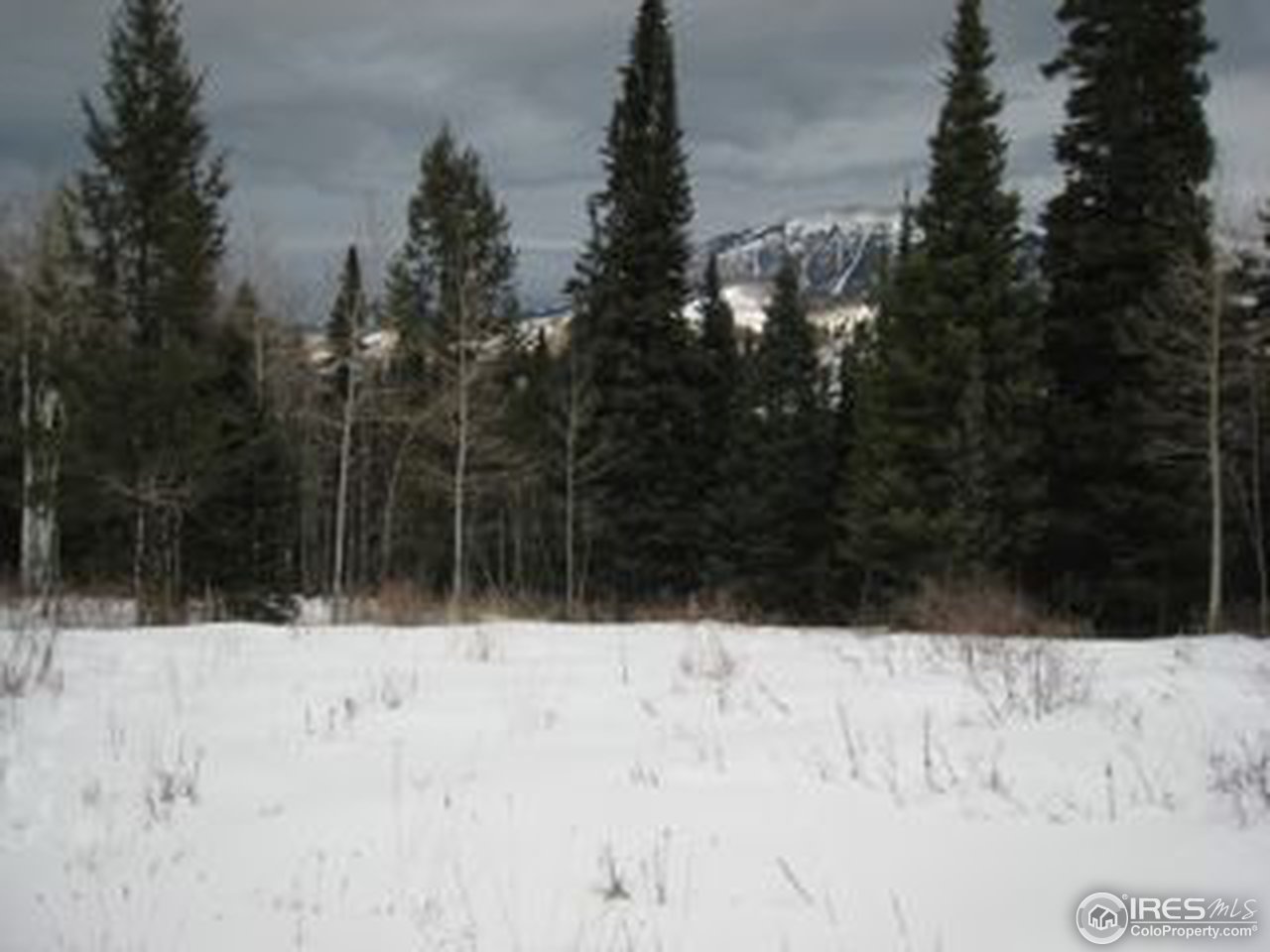 331 Spruce Ridge Road Silverthorne, CO 80498 - Photo 3 of 5 a view of a covered with snow