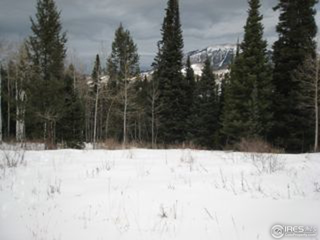 331 Spruce Ridge Road Silverthorne, CO 80498 - Photo 4 of 5 a view of a snow in the yard