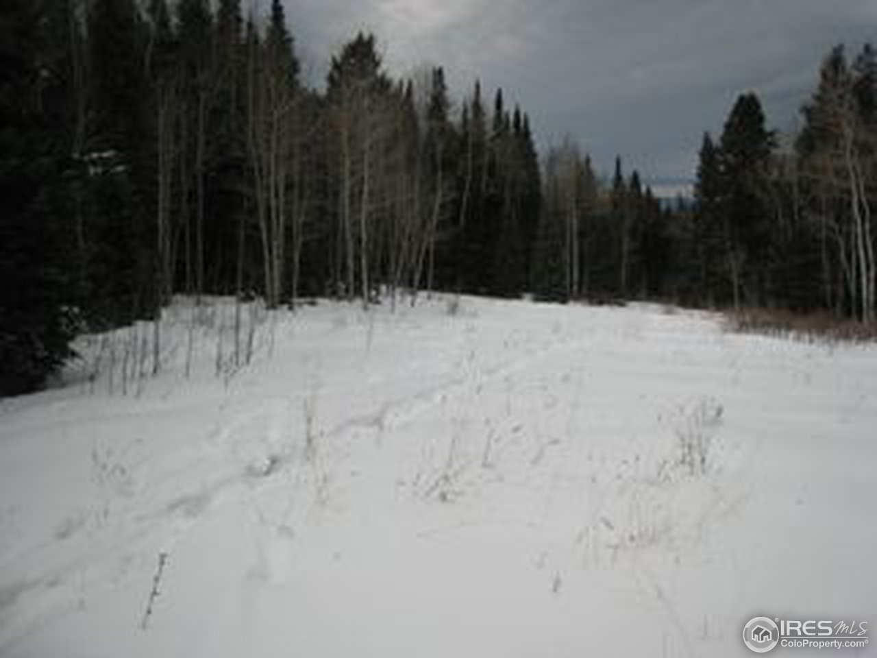 331 Spruce Ridge Road Silverthorne, CO 80498 - Photo 5 of 5 a view of outdoor space with trees