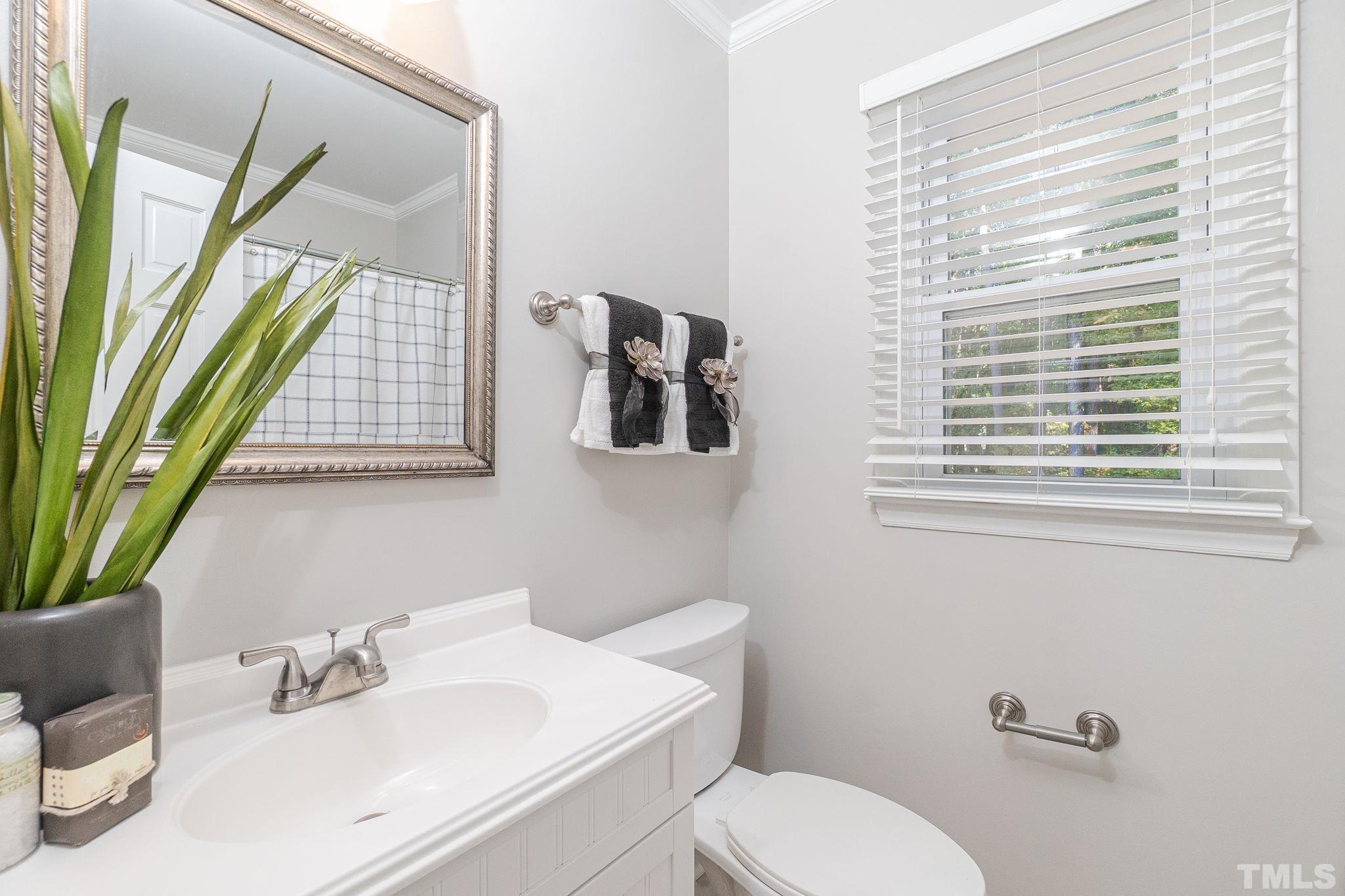 7544 Milestone Court Raleigh, NC 27615 - Photo 25 of 30 a bathroom with a sink a toilet and a mirror