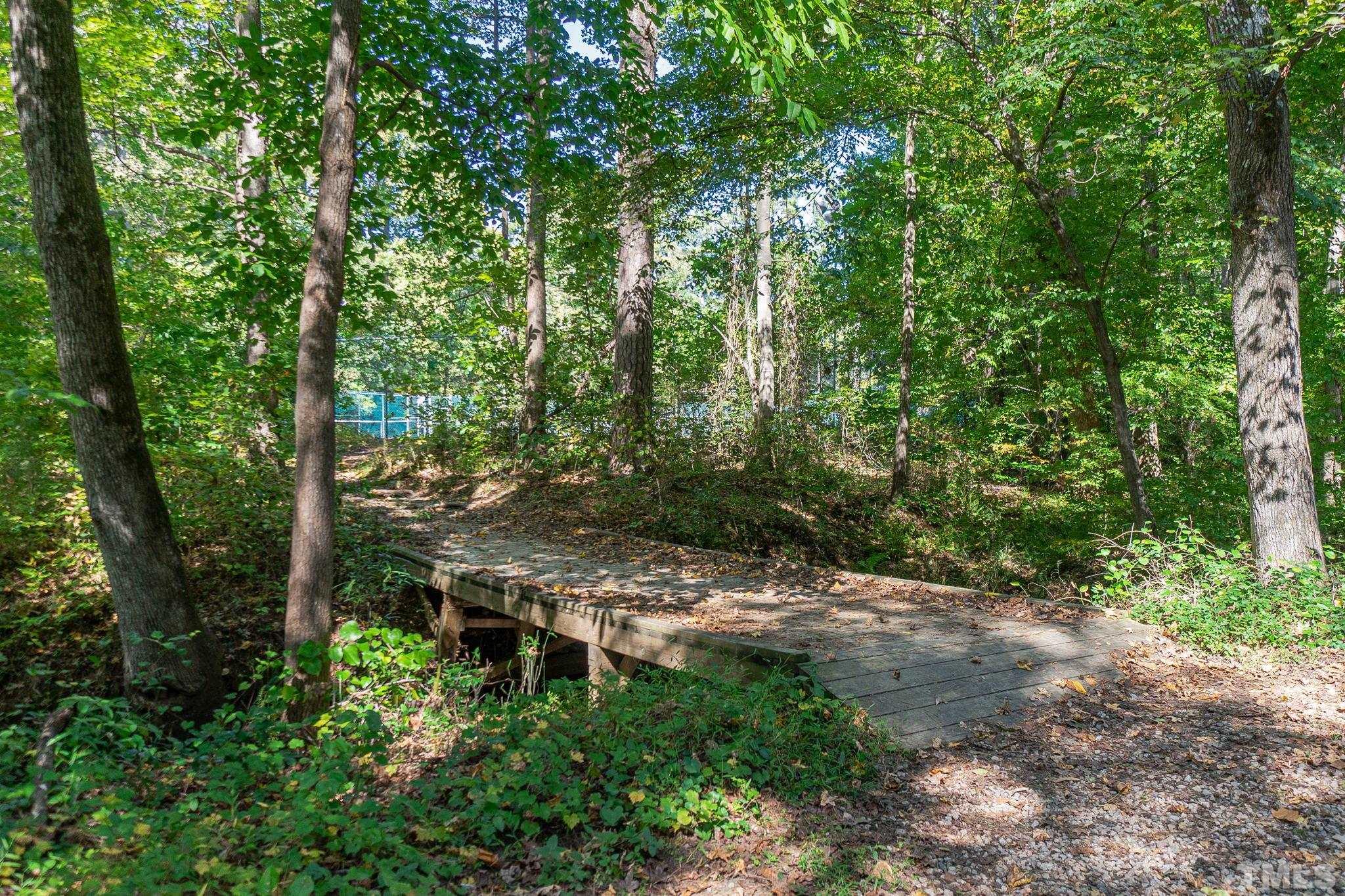 7544 Milestone Court Raleigh, NC 27615 - Photo 29 of 30 a view of a forest with trees