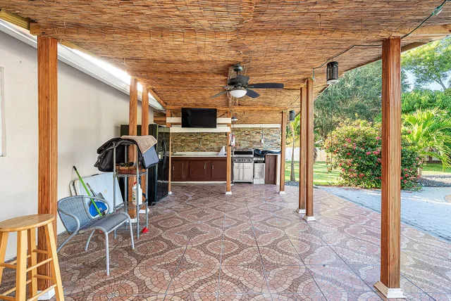 a view of a park with a large trees