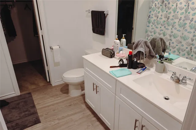 a bathroom with a sink toilet and mirror