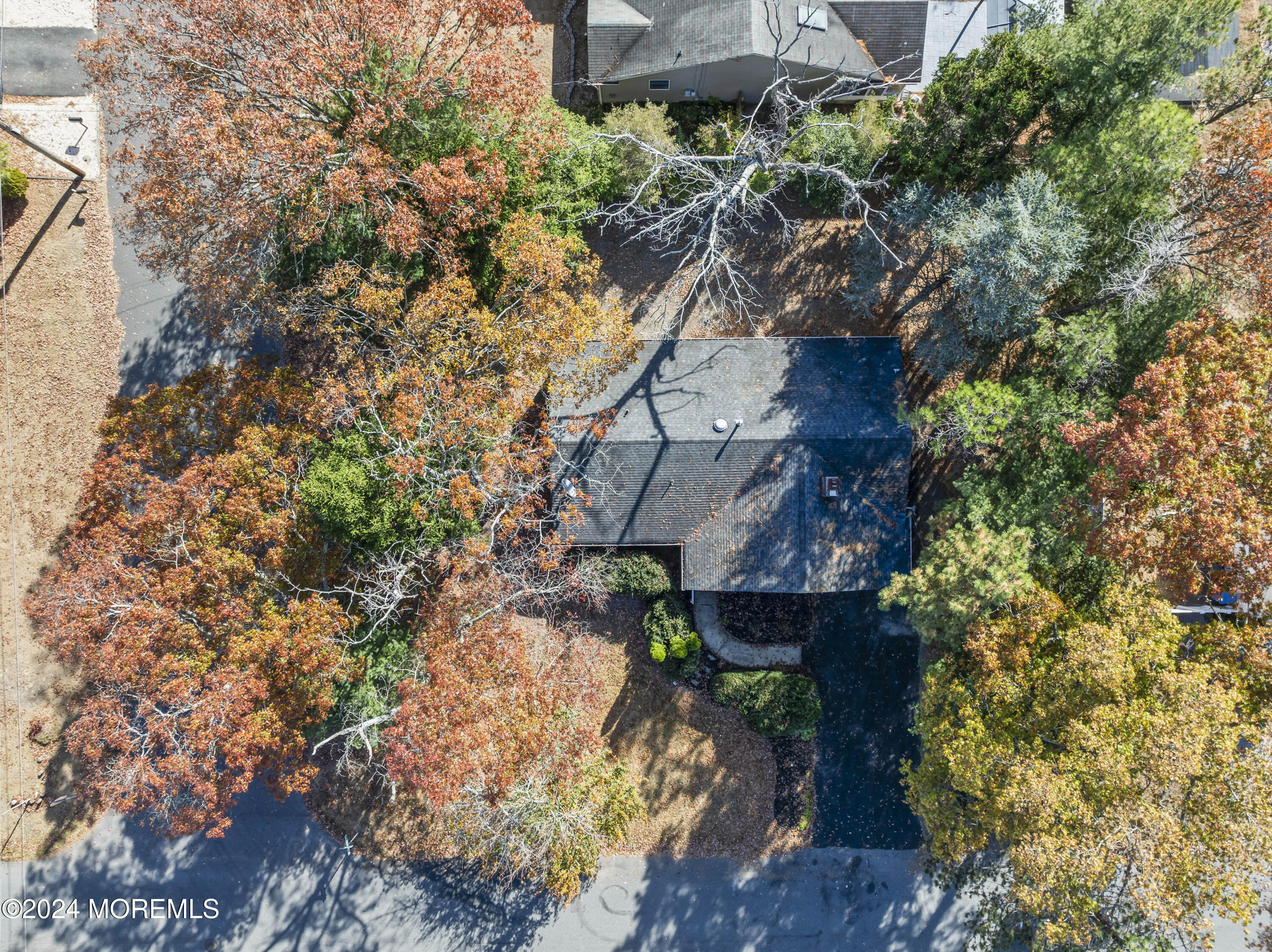 321 Float Avenue Manahawkin, NJ 08050 - Photo 27 of 31 a picture of tree