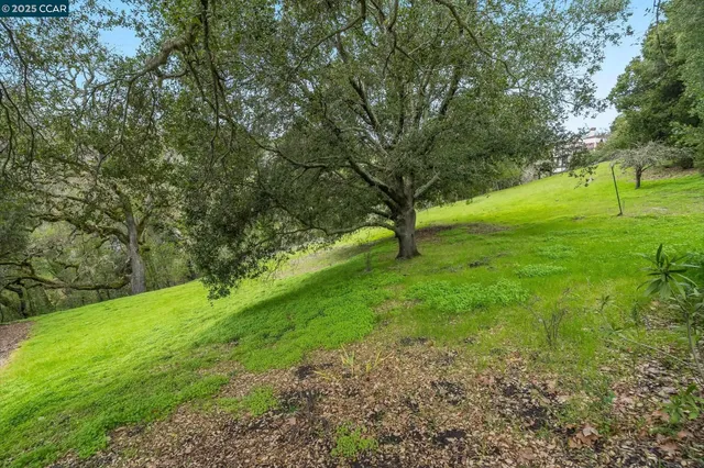 a view of field with trees in the background