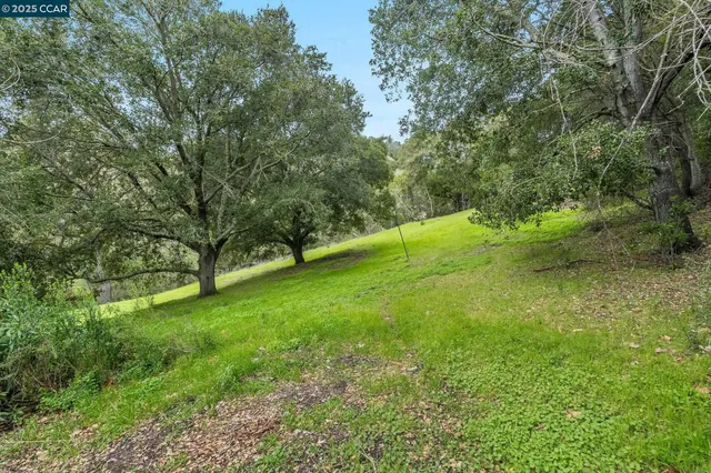 a view of yard with green space