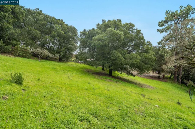 a view of a green yard