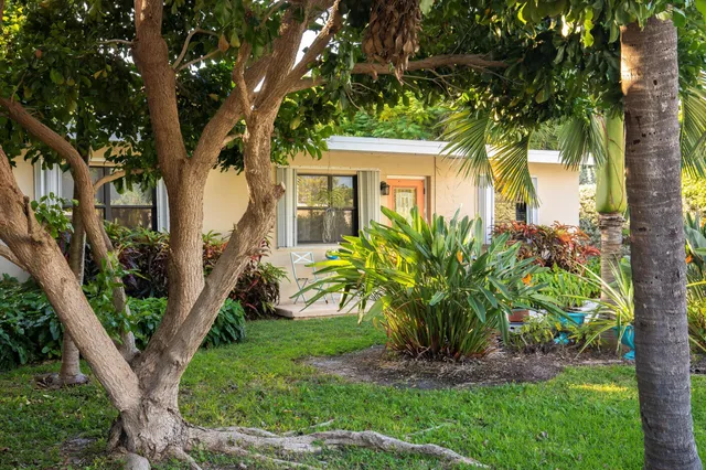 a view of a house with a tree in a yard
