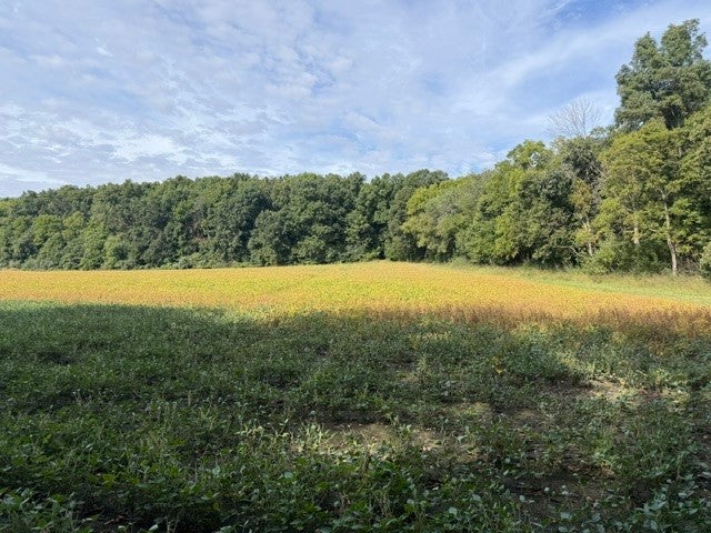 19101 Harrison Street Road Charleston, IL 61920 - Photo 44 of 69 Gallery Image 44