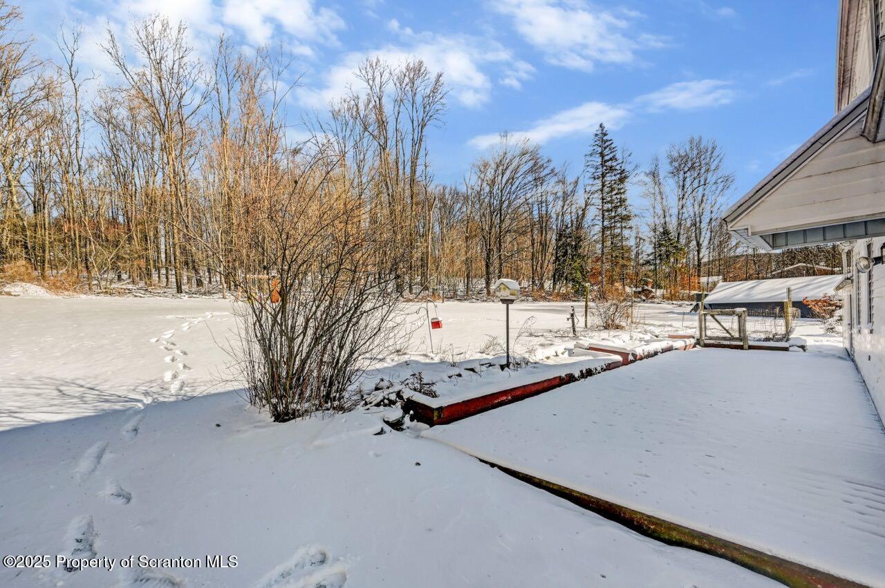 117 Griffin Pond Road Clarks Summit, PA 18411 - Photo 61 of 65 a view of a yard with snow on the road