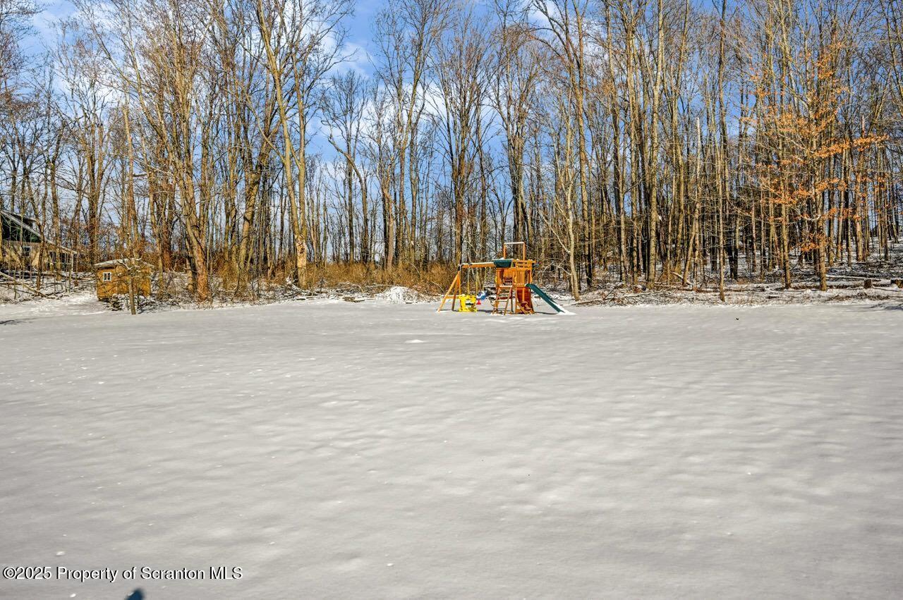 117 Griffin Pond Road Clarks Summit, PA 18411 - Photo 62 of 65