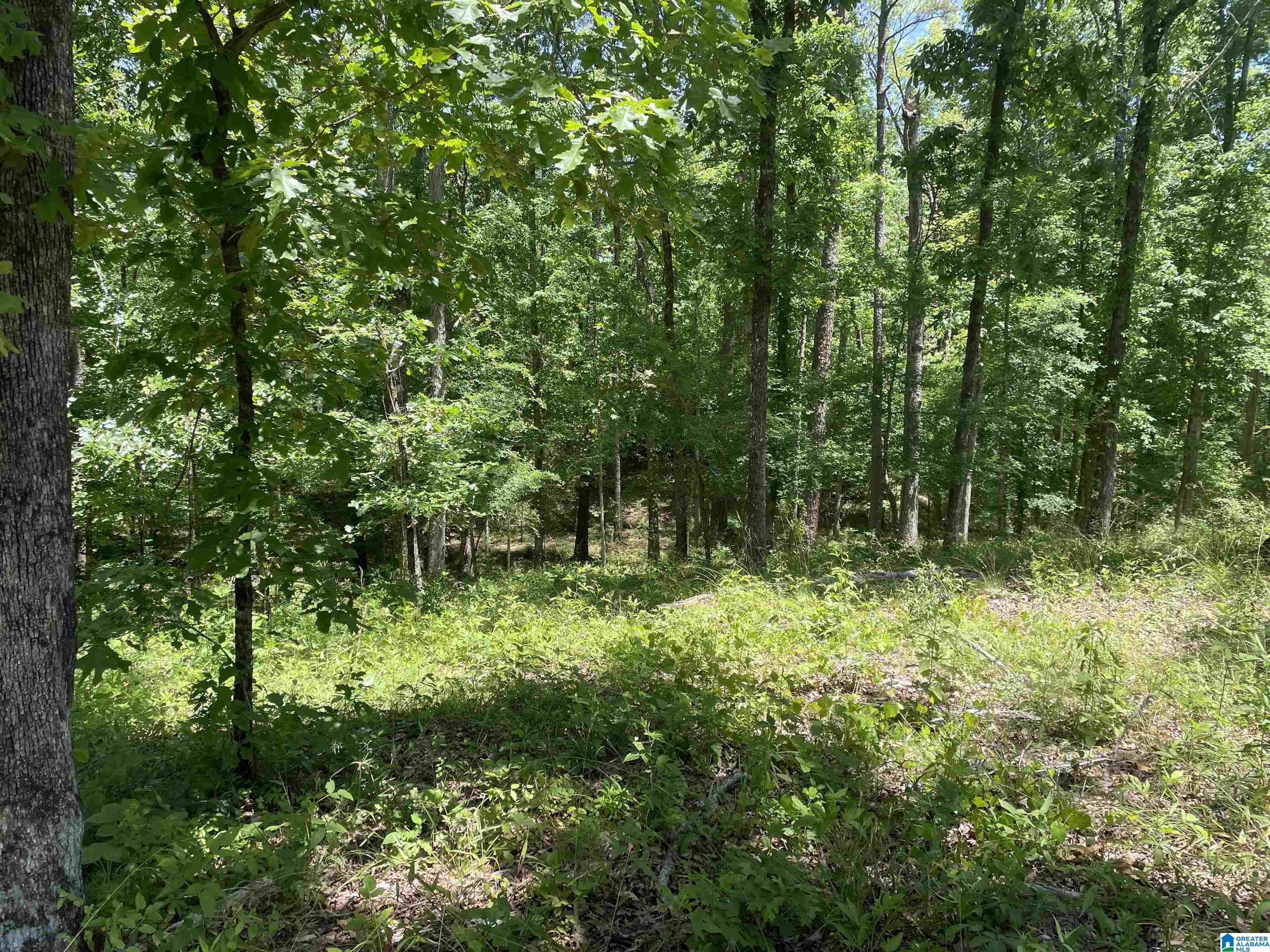 1721 Westover Road Sterrett, AL 35147 - Photo 4 of 10