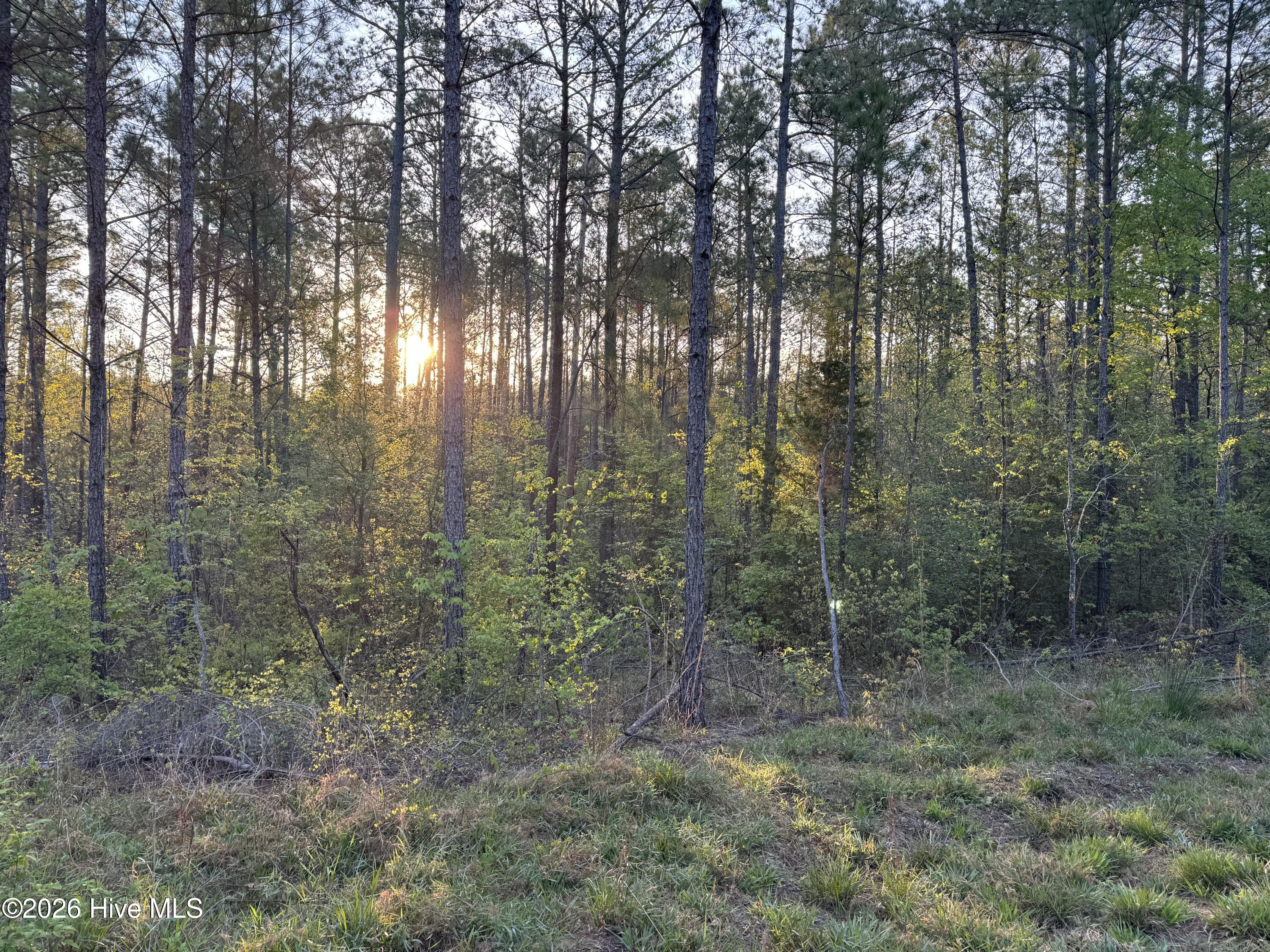 0 Cartledge Creek Road Rockingham, NC 28379 - Photo 23 of 32 Cartledge Creek