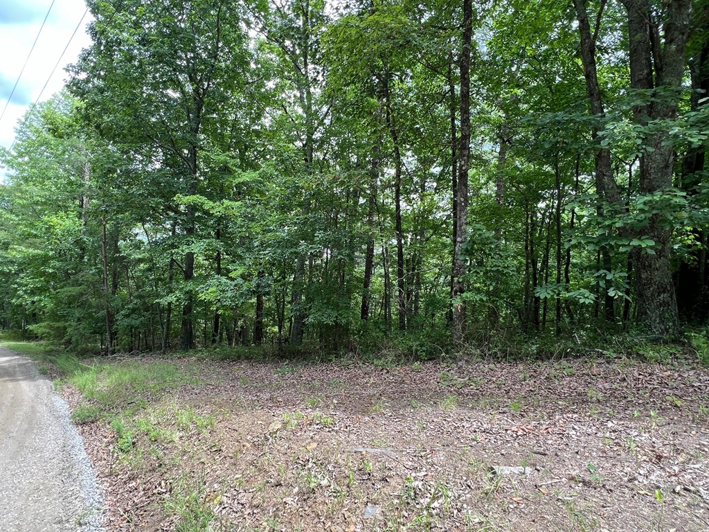 1267 Jewel Court Ranger, GA 30734 - Photo 19 of 19 Gallery Image 19