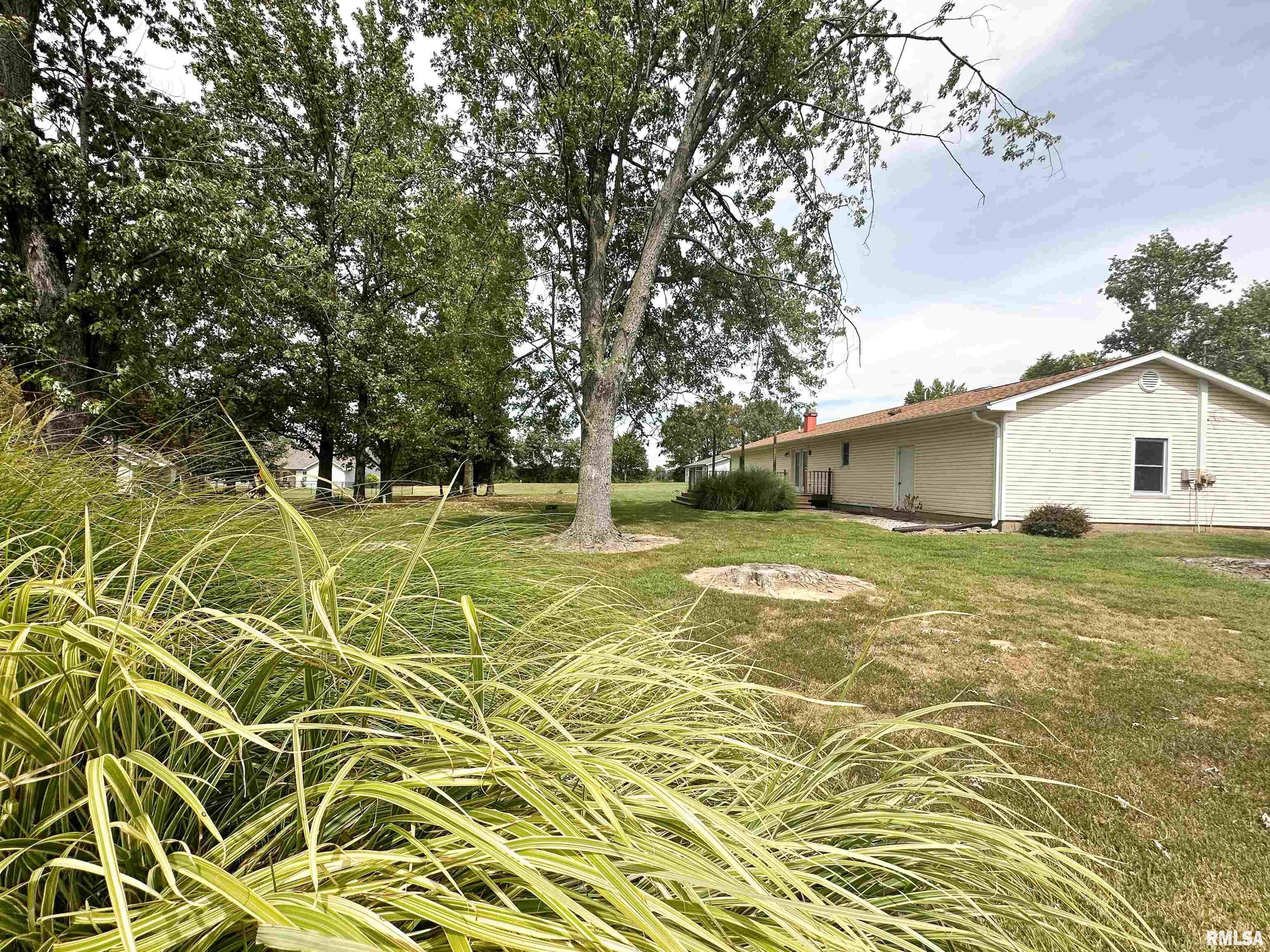 10619 Samuel Road Carterville, IL 62918 - Photo 34 of 36