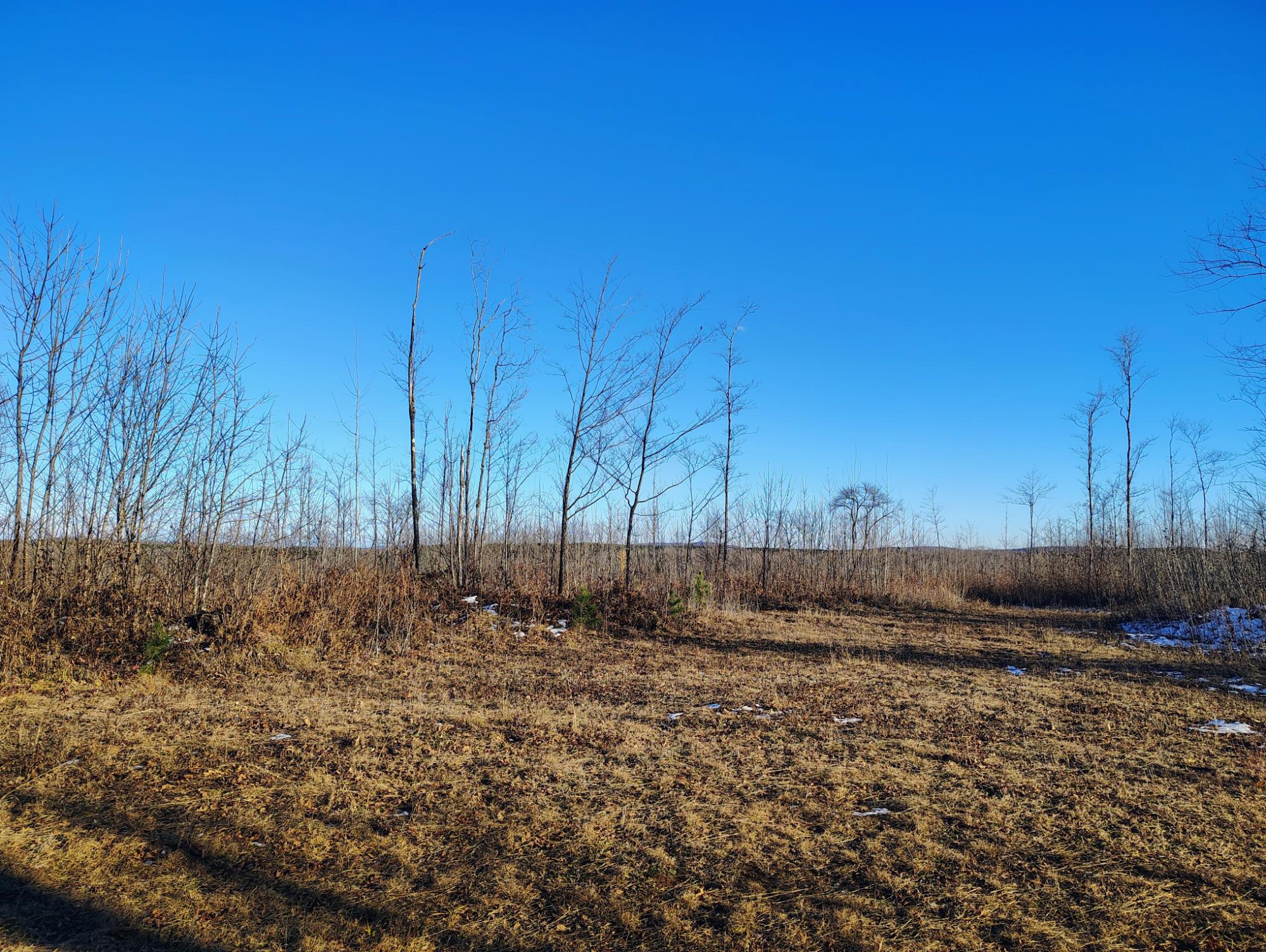 On Kornstead Road, Unit 80 AC Mellen, WI 54546 - Photo 24 of 32 Gallery Image 24