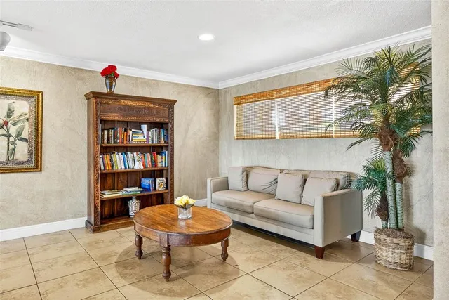 a living room with furniture a rug and a window