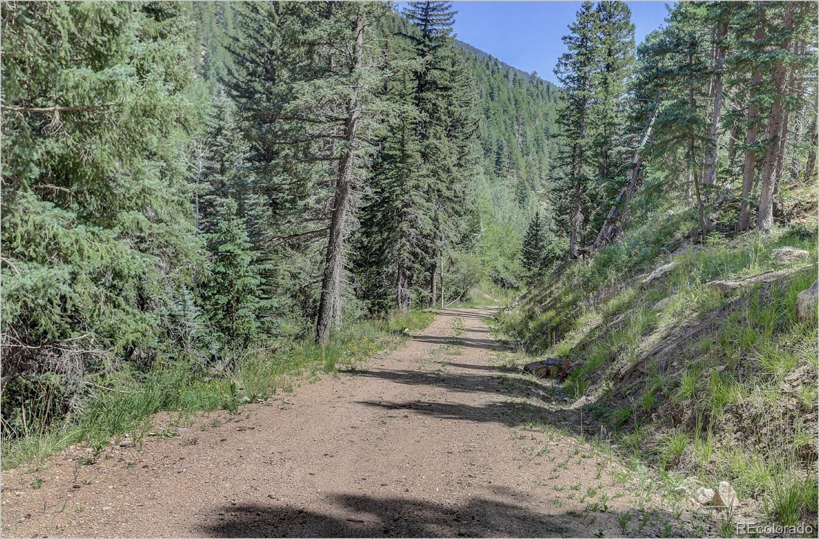 2963 Witter Gulch Road Evergreen, CO 80439 - Photo 8 of 19 Gallery Image 8