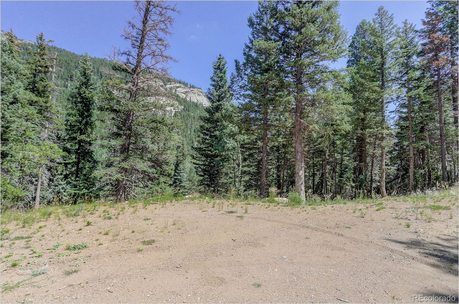2963 Witter Gulch Road Evergreen, CO 80439 - Photo 9 of 19 Gallery Image 9