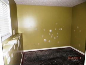823 Ragan Road Trade, TN 37691 - Photo 10 of 12 Bedroom 4