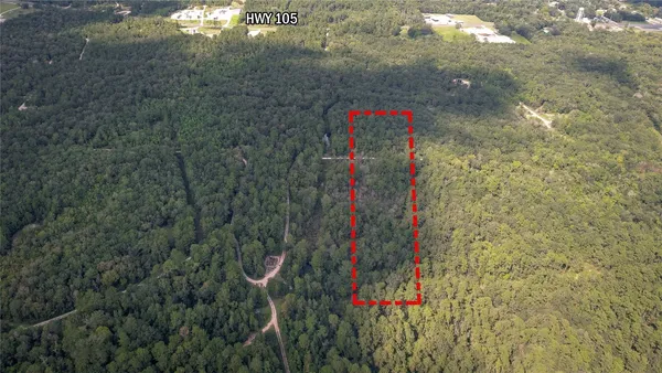 a view of a dry yard