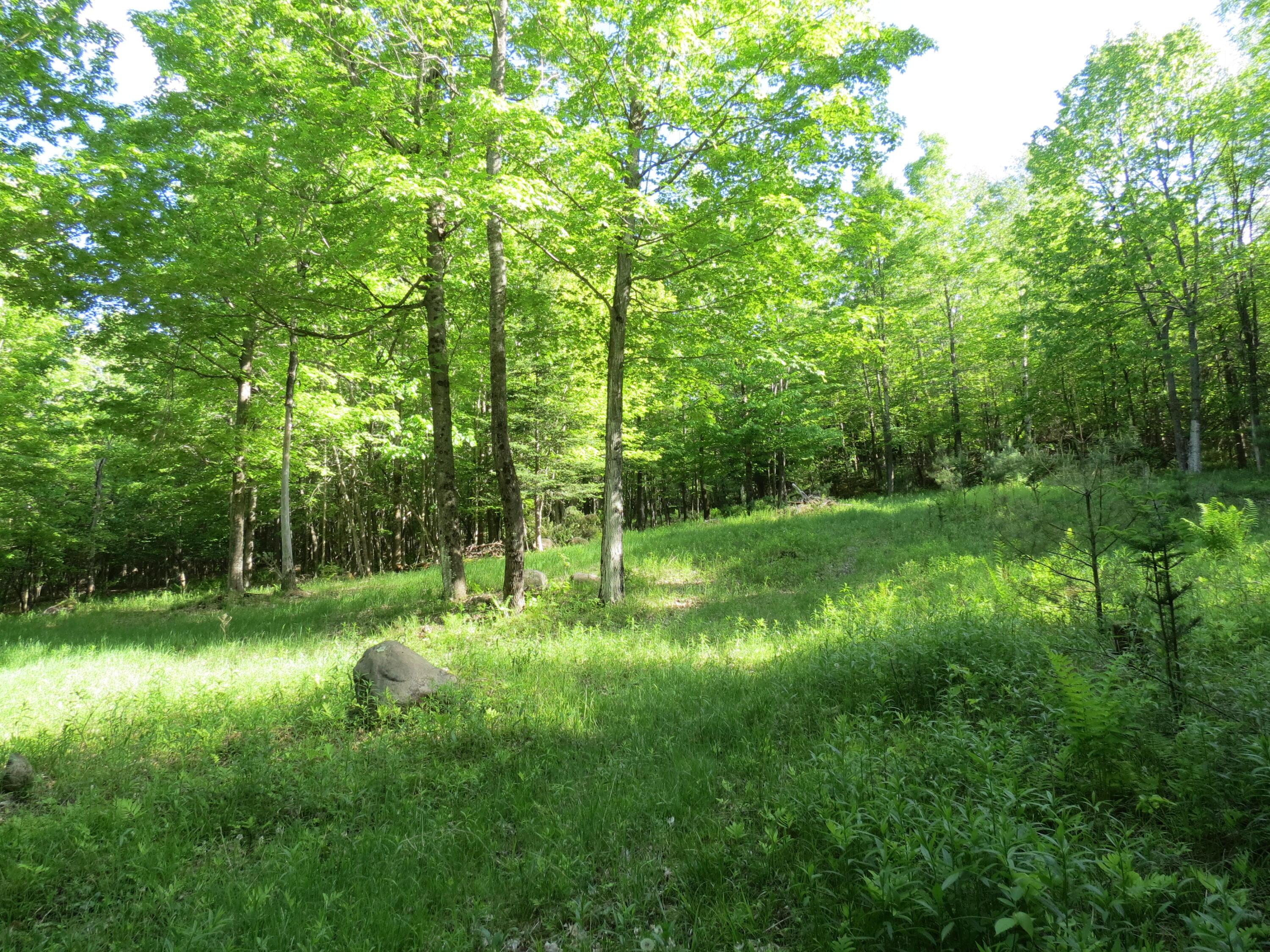 0 Trumbulls Road Upper Jay, NY 12987 - Photo 16 of 22