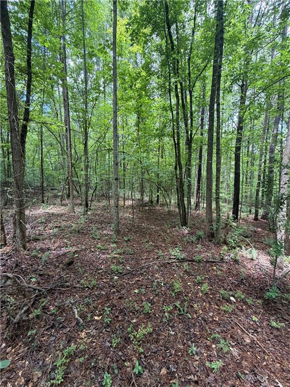 8915 Cedar Grove Road Fairburn, GA 30213 - Photo 3 of 5