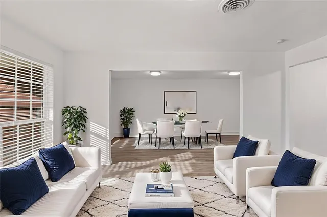 a living room with furniture a rug and a potted plant