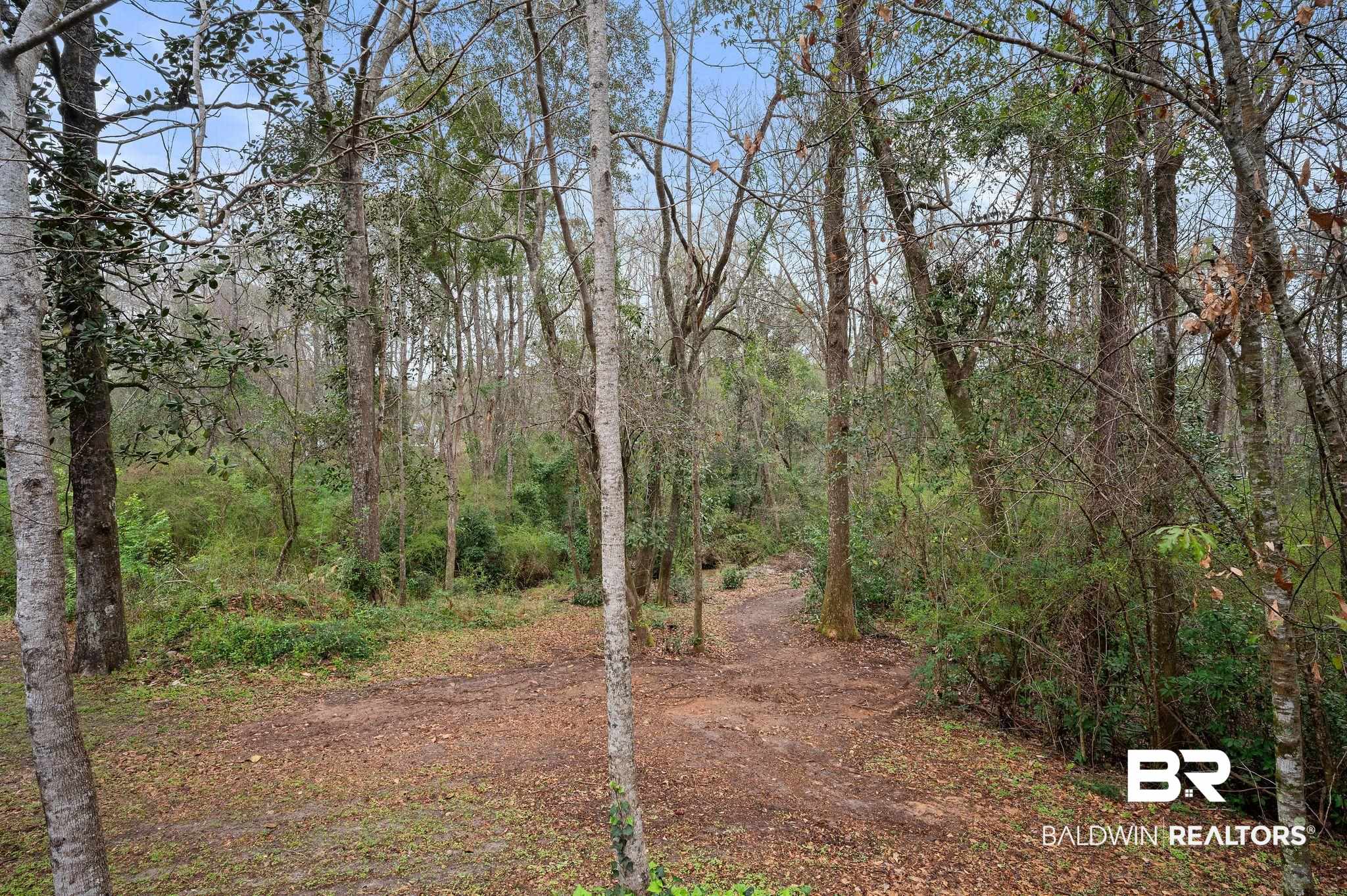 7850 Yorkhaven Road Mobile, AL 36695 - Photo 52 of 57 View of yard featuring a view of trees