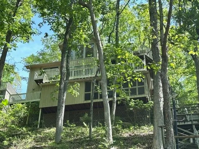 a green field with trees in the background