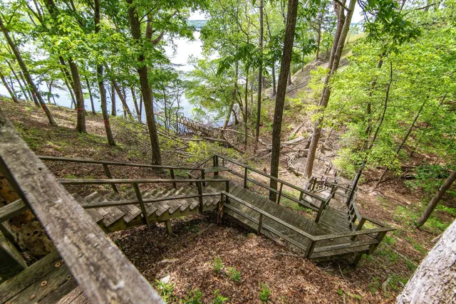 a backyard of a house with lots of green space