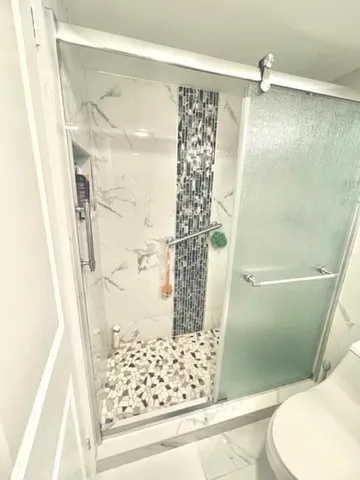 a bathroom with a shower and a toilet