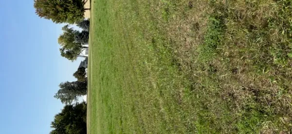 a view of a small yard