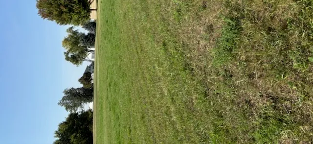 a view of a small yard