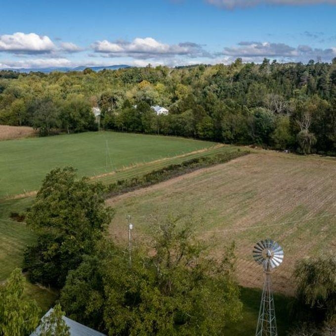28 Hangers Mill Road Staunton, VA 24401 - Photo 27 of 38 a view of a yard with a tree