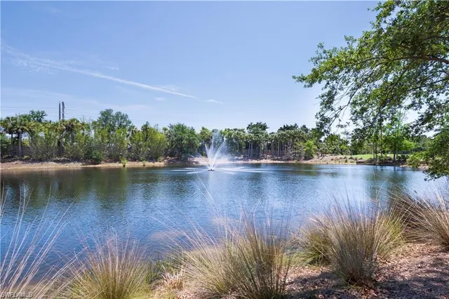 a view of lake with green space