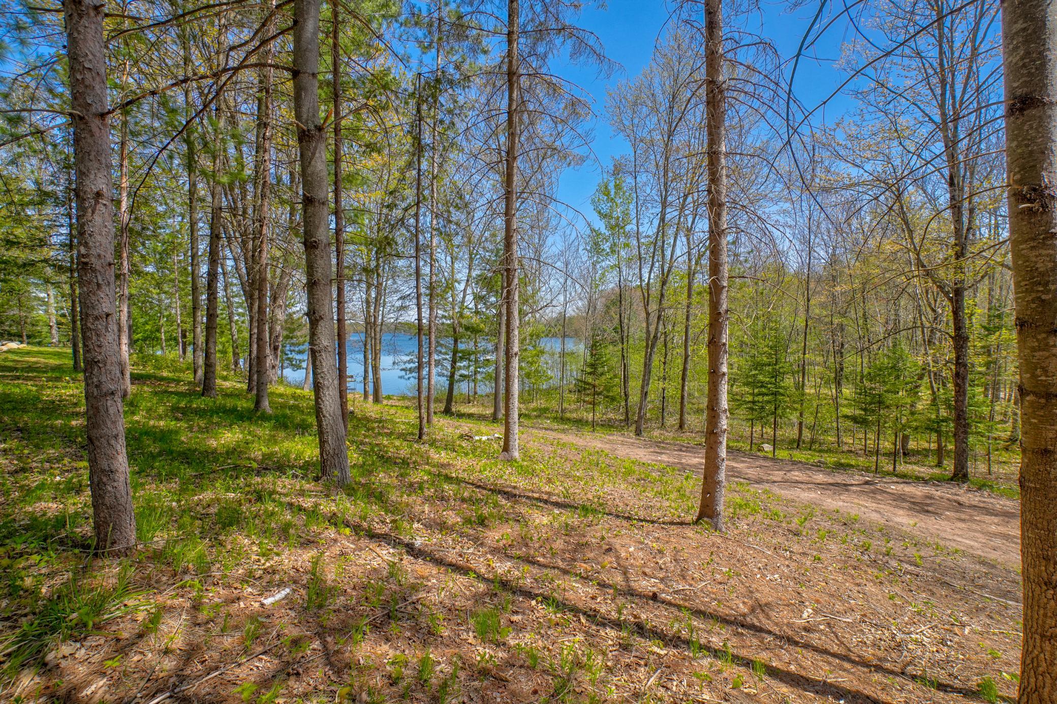 0 Ranch Road Stone Lake, WI 54876 - Photo 12 of 19
